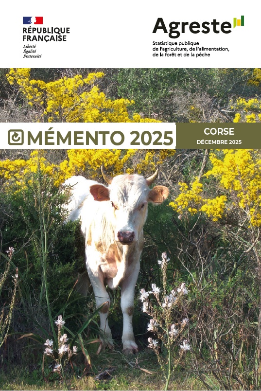 Mémento 2025 : les points clés à retenir pour anticiper l’année à venir