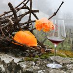 Mercosur : pourquoi l'accord de libre-échange pourrait profiter aux vins de Bourgogne