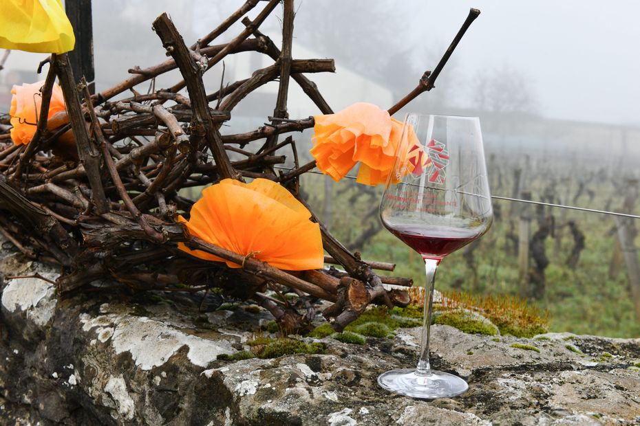 Accord de libre-échange Mercosur : quels avantages pour les vins de Bourgogne ?