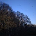 Nuits de la lecture : Restitution de l'atelier d'écriture 'Morsure de ronces' - Citescope