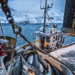 Les forçats de l'Atlantique : La Rochelle et Bordeaux au cœur de la pêche à la morue