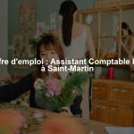 Offre d'emploi : Assistant Comptable H/F à Saint-Martin