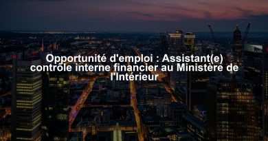 Opportunité d'emploi : Assistant(e) contrôle interne financier au Ministère de l'Intérieur
