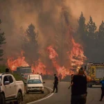 Argentine : 15 000 hectares de forêts en feu en Patagonie, Javier Milei critiqué