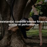 Assistant(e) contrôle interne financier, qualité et performance
