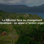 La Réunion face au changement climatique : un appel à l'action urgent