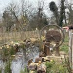 Neyron. Cinq ans après, la forêt jardin de Forts pour demain porte ses fruits