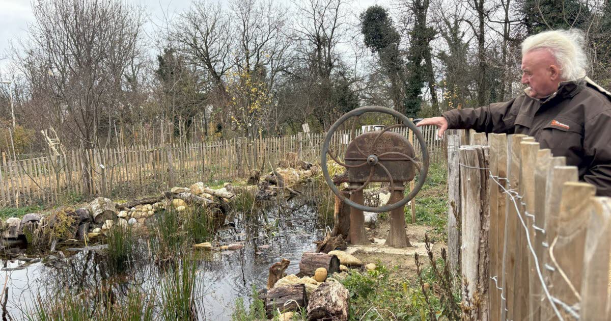 Neyron : cinq ans après, la forêt jardin de Forts pour demain montre ses premiers résultats