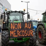 Strasbourg : 700 tracteurs mobilisés mardi devant le Parlement européen contre le Mercosur