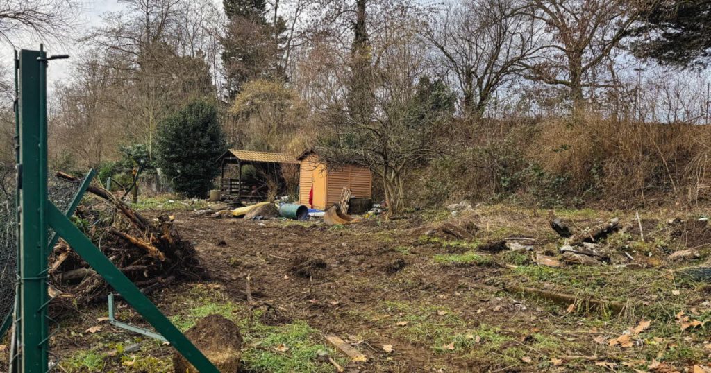 Strasbourg | Environnement. Pollution des sols : 26 jardins familiaux rasés à Strasbourg