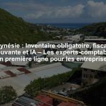 Polynésie : Inventaire obligatoire, fiscalité mouvante et IA – Les experts-comptables en première ligne pour les entreprises