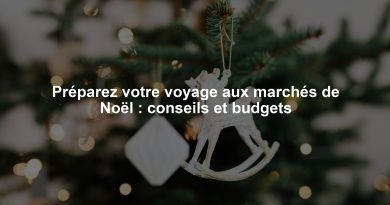 Préparez votre voyage aux marchés de Noël : conseils et budgets