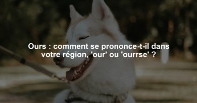 Comment se prononce « ours » au Québec ? Une question de région Ours : comment se prononce-t-il dans votre région, 'our' ou 'ourrse' ?