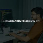 Software Asset Manager IT H/F