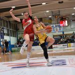 Basket-ball (Nationale 2 féminine) : les Garonnaises à un point décisif