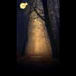 Deux adolescents contraints de creuser leur propre tombe dans un acte tragique