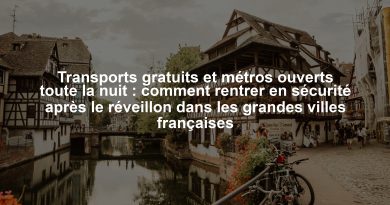 Transports gratuits et métros ouverts toute la nuit : comment rentrer en sécurité après le réveillon dans les grandes villes françaises Transports gratuits et métros ouverts toute la nuit : comment rentrer en sécurité après le réveillon dans les grandes villes françaises