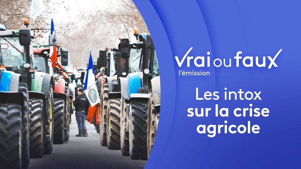 Décryptage des fausses informations sur la crise agricole actuelle