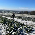 "La casse, on la voit au dégel", la course des maraîchers contre le froid glacial