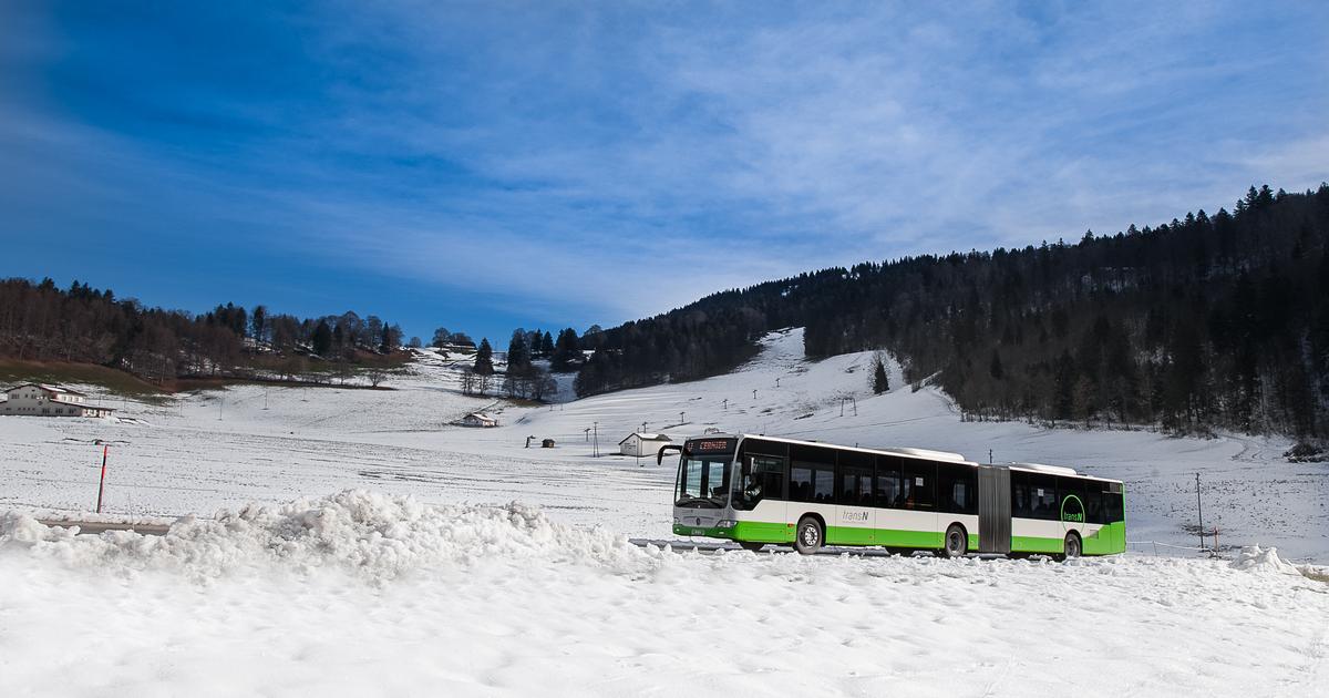 L'association Bus Alpin célèbre 20 ans de service et augmente le nombre de passagers.