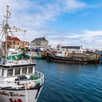 À Saint-Pierre-et-Miquelon, la pêche face à des défis cruciaux, loin du mythe des terre-neuvas.
