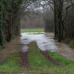 "Un mois particulièrement pluvieux ne suffit pas à inverser une tendance". Les nappes phréatiques se rechargent doucement mais la ressource en eau diminue