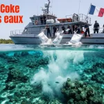 11,5 tonnes de cocaïne interceptées en Polynésie : le Tavini Huiraatira critique la méthode de destruction