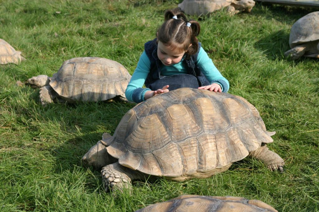 Que faire pendant les vacances d’hiver dans le Sud-Manche ?