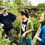 Jardin malin : cultiver sans se ruiner grâce à la récup et au troc - ICI