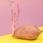 En février, préparez votre mois de mai ! - ICI