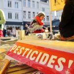 Acétamipride : aucune étude sérieuse ne prouve son potentiel cancérigène, vrai ou faux ?