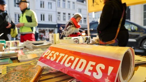 Acétamipride : aucune étude sérieuse ne prouve son potentiel cancérigène, vrai ou faux ?