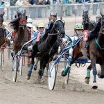 Quinté à Paris-Vincennes du jeudi 5 février : les pronostics hippiques d'Hervé Fortin - ICI