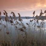 Le sentier des Larrey - ICI