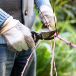 Jardin : la trousse de secours idéale avec des produits du quotidien - ICI