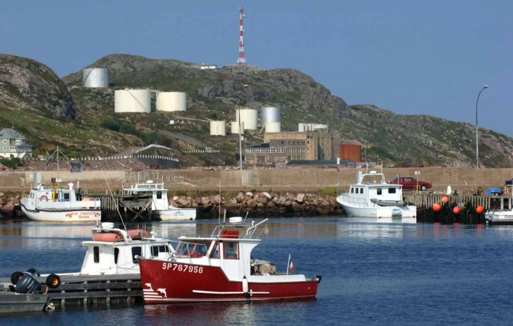 Le corps décomposé d’une femme découvert, son compagnon interpellé