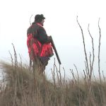 Battue de sangliers organisée pour contrer la recrudescence de l'espèce et ses dangers