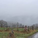 Météo de ce samedi en Belgique : prévisions de pluie et ciel gris - RTBF Actus