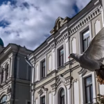 En Russie, une entreprise développe des drones de surveillance à partir de pigeons.