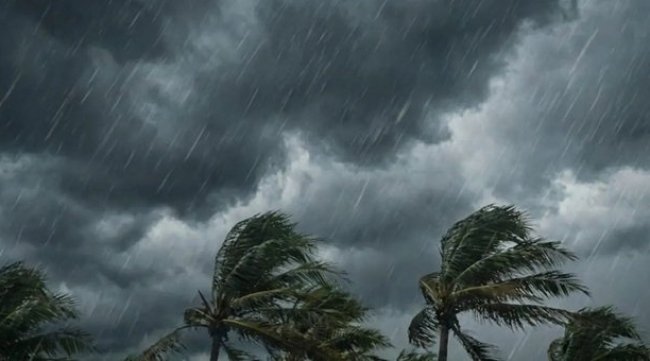 Tunisie : 20 gouvernorats en vigilance orange en raison de vents violents