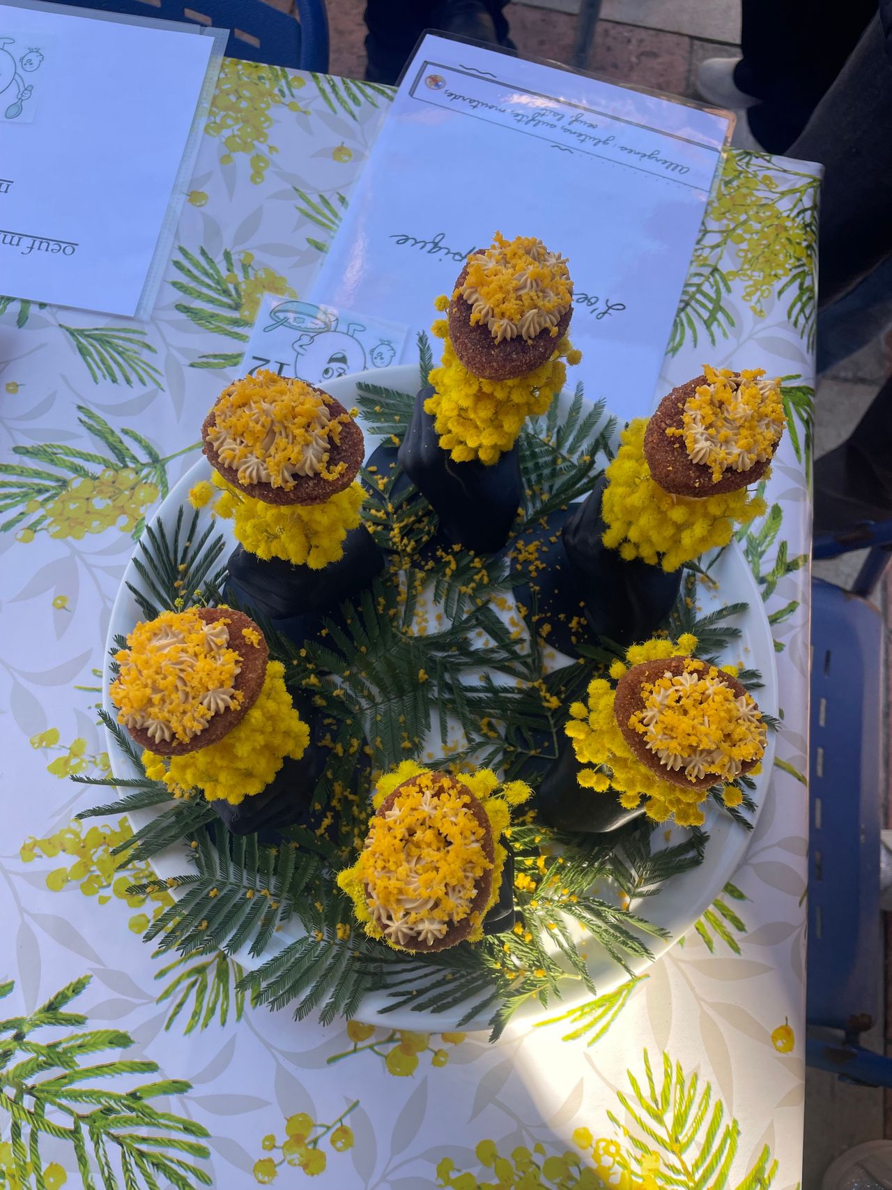 illustration agrandir l'image