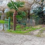 illustration agrandir l