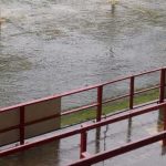 Rugby à XIII : Challenge Cup, le stade de Baltey inondé avant l'arrivée des Dragons Catalans