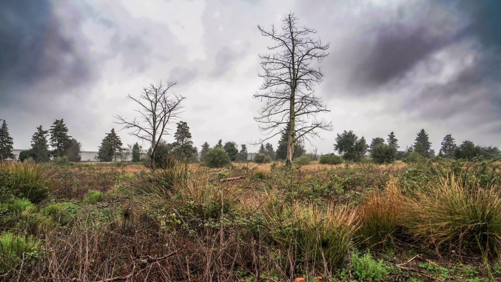 Tempête Nils : rafales de vent dépassant 150 km/h, prévisions pour les prochains jours