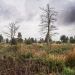 Tempête Nils : rafales de vent dépassant 150 km/h, prévisions pour les prochains jours