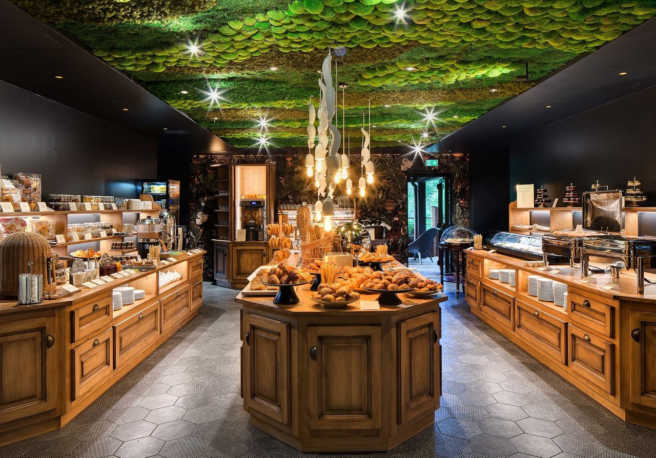 illustration agrandir l'image