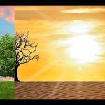 La Banque de France introduit un outil de diagnostic pour évaluer les risques climatiques