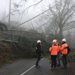 Tempête Nils : le village de Rosis coupé de tout à cause des chutes d’arbres