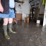 illustration agrandir l