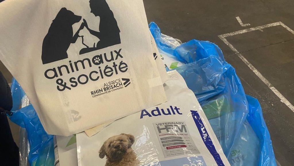 illustration agrandir l